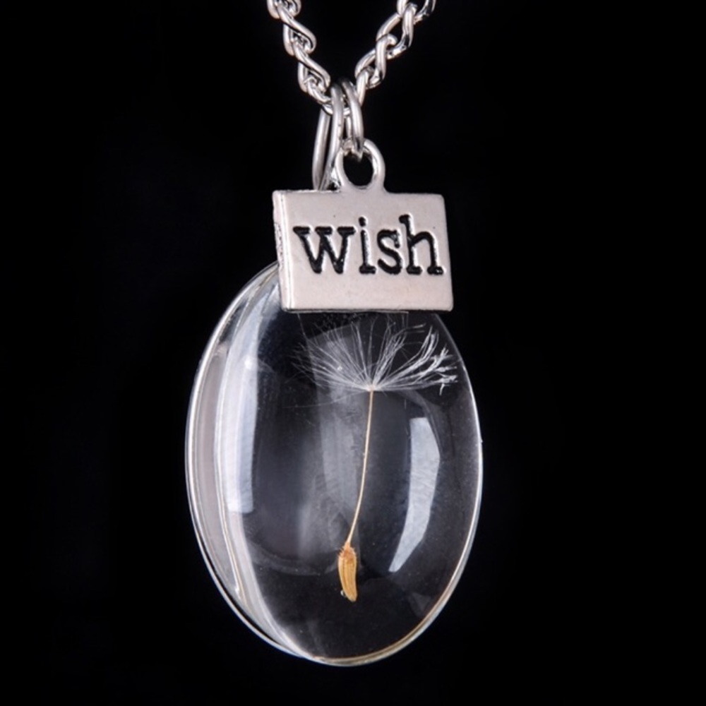 🆕 Make a wish with charm-dandelion seed necklace